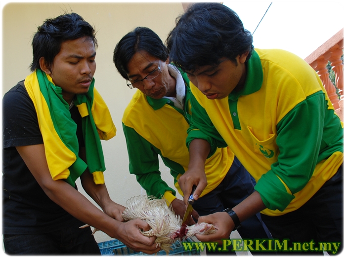 Praktikal sembelihan ayam yang dilakukan oleh mahasiswa Kelab Perkim UniKL sambil diperhatikan oleh penduduk setempat.
